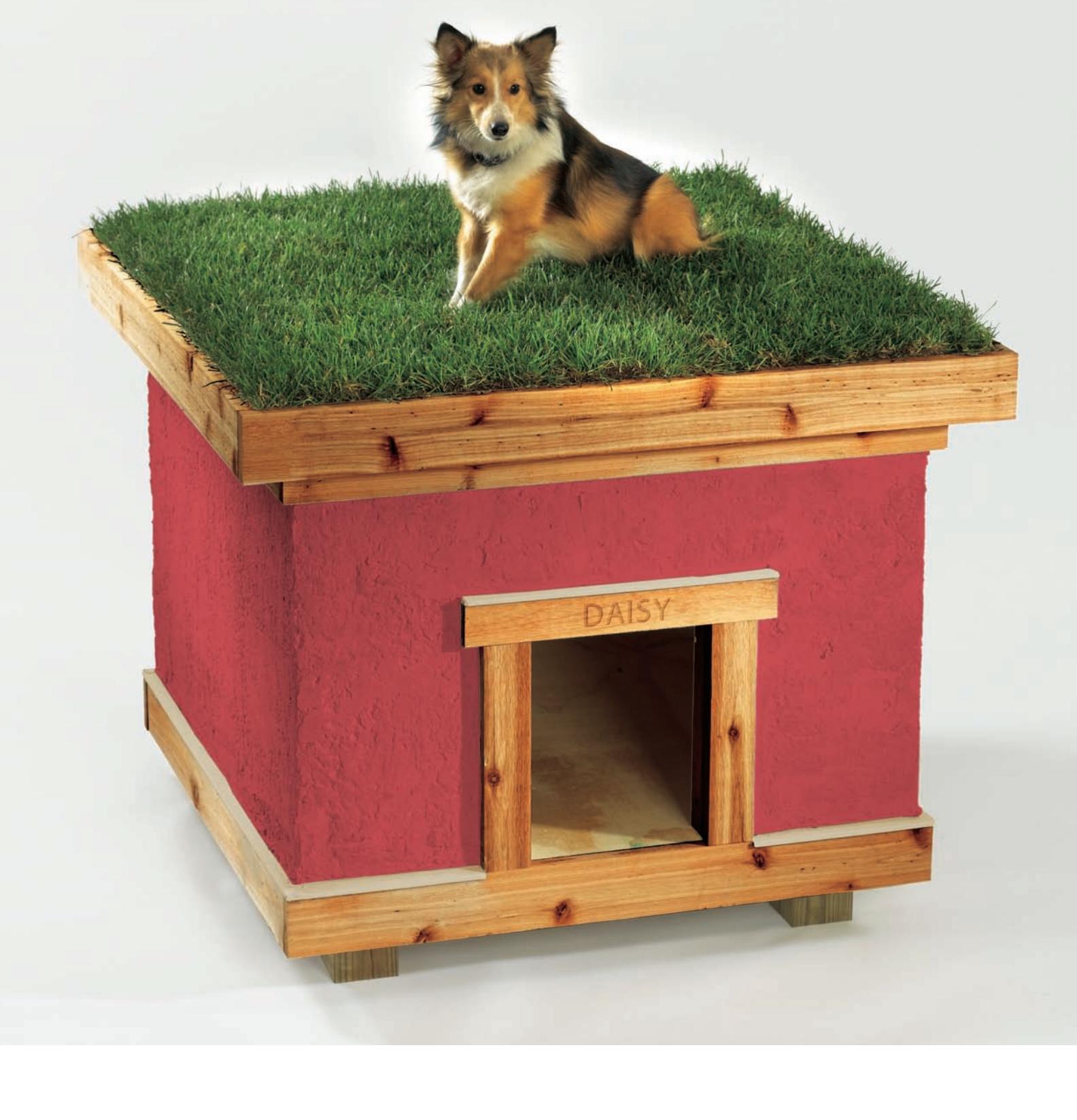 Finished 'Green' Doghouse with a sod roof and stucco siding