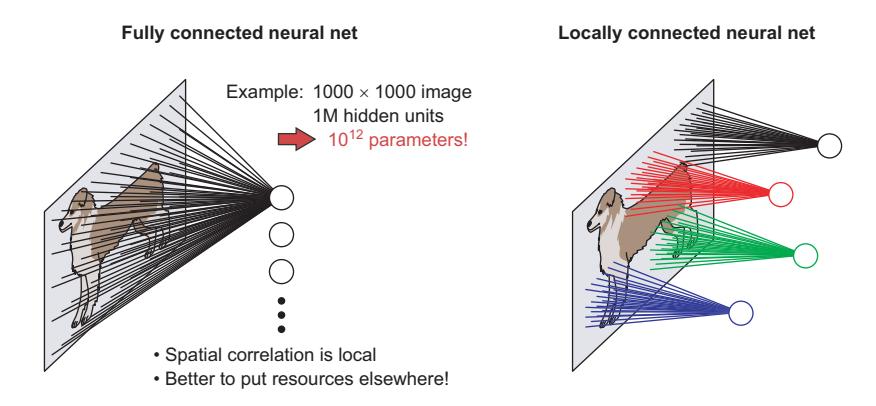 Comparison of connectivity in a fully connected neural network (fcNN) vs. a Convolutional Neural Network (CNN), showing local connections in CNNs.