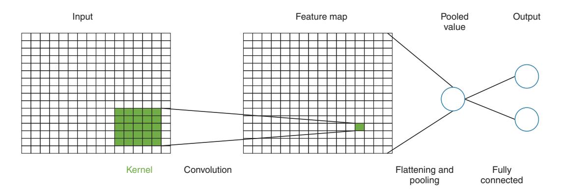 Architecture of a minimal CNN with a single hidden layer (feature map), max pooling, and a dense output layer for binary classification.