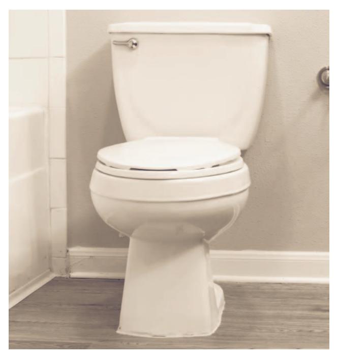 A two-piece toilet with a separate tank and bowl.