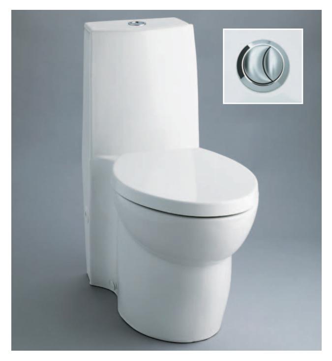 A toilet highlighting its flushing mechanism, possibly a dual-flush button.