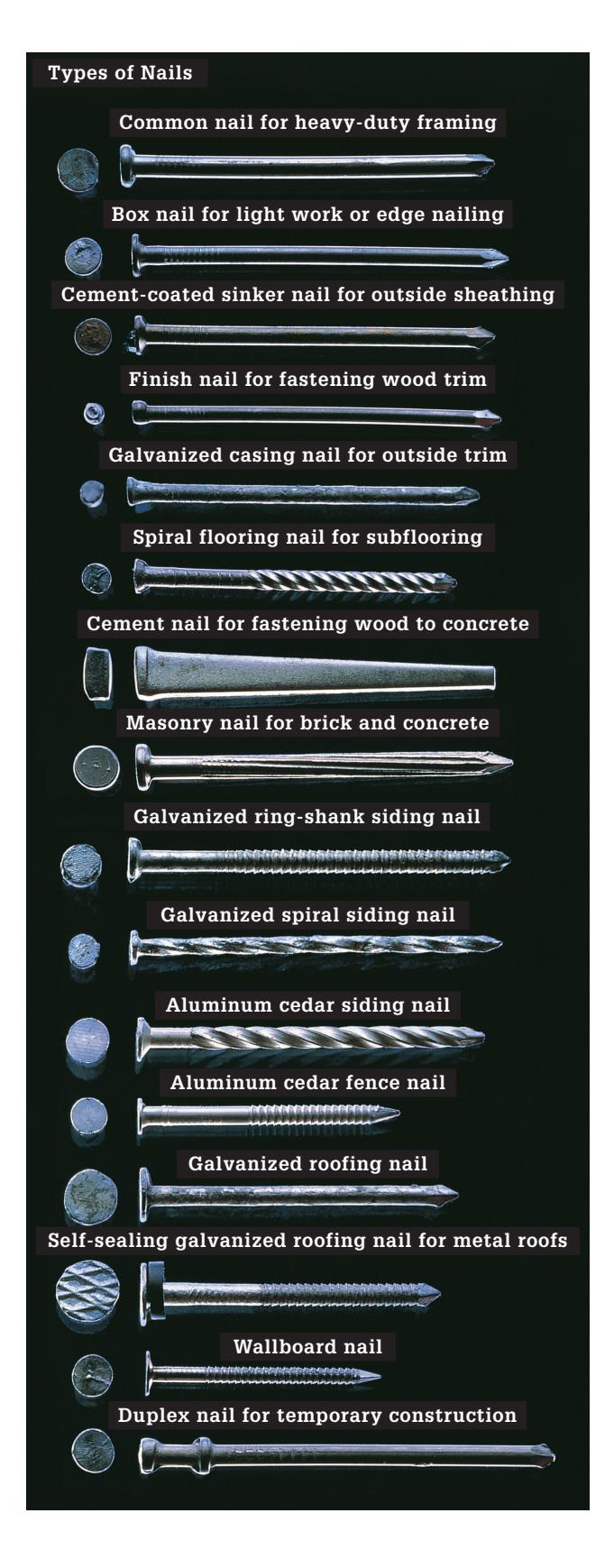Various types of nails