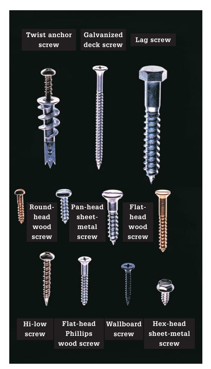 Detail of a wallboard screw head