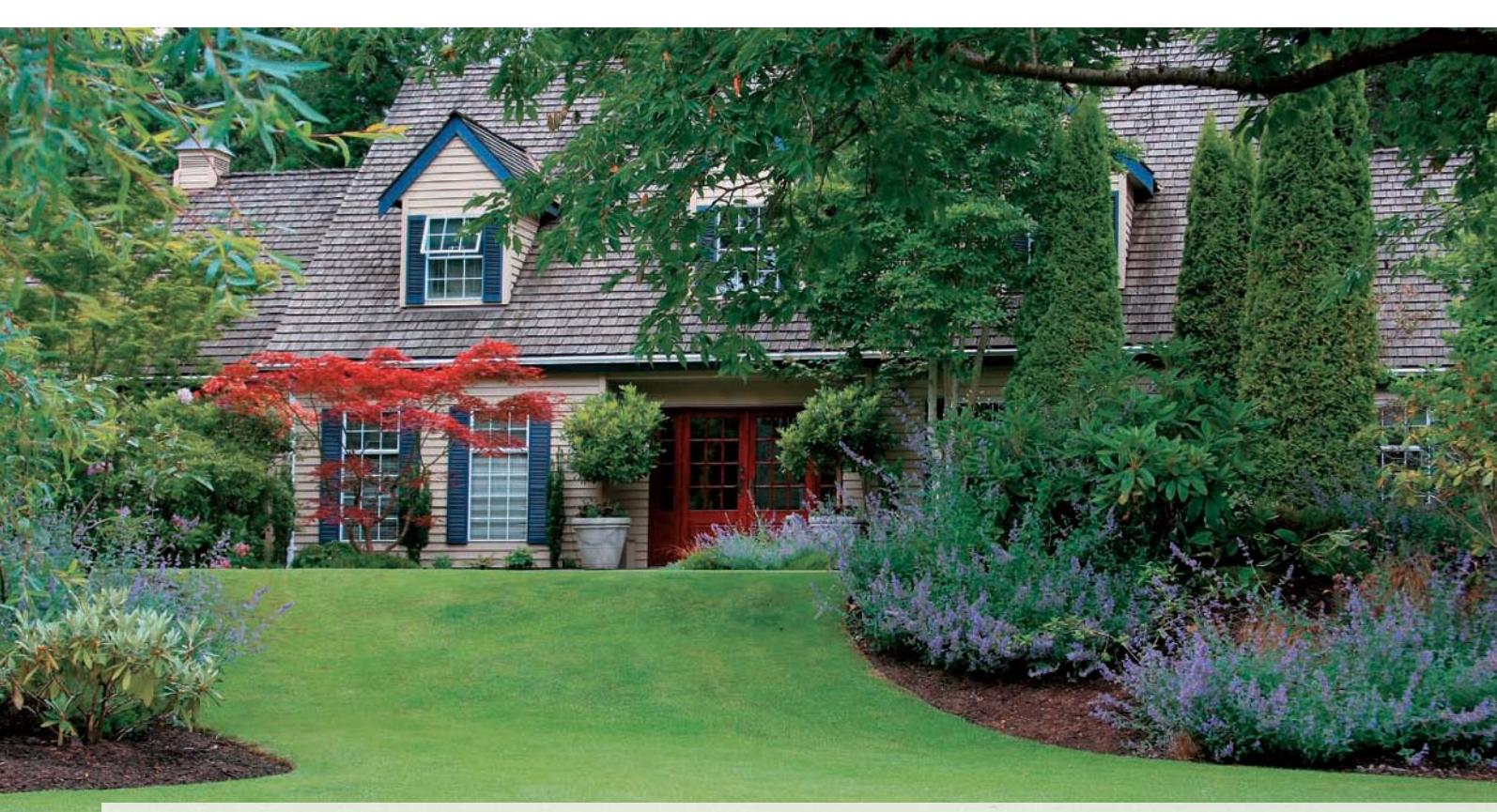Front yard lawn with curved borders and varied plantings