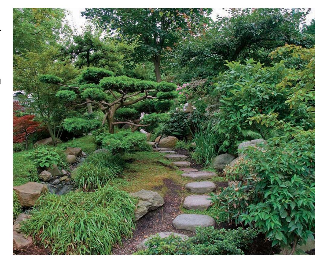 Zen garden with floating slab steps and manicured evergreen