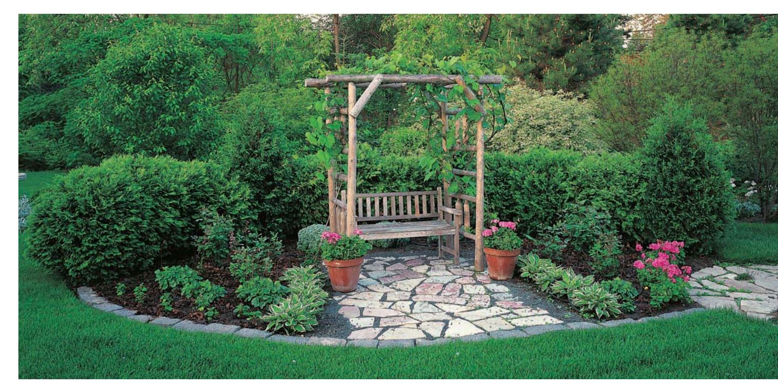 Pole arbor and bench in a country-style setting