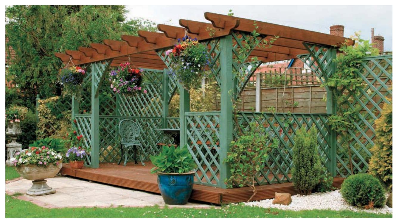 Pergola and screens with unruly climbing plants