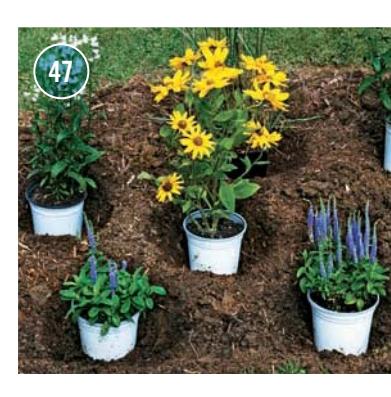 Thumbnail image related to Greenscapes & Gardens.
