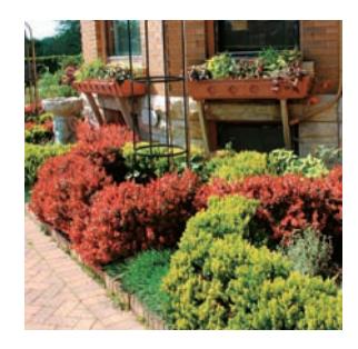 Decorative garden image