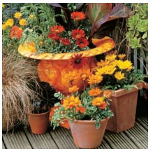 Decorative garden image