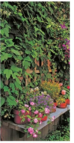 Decorative garden image