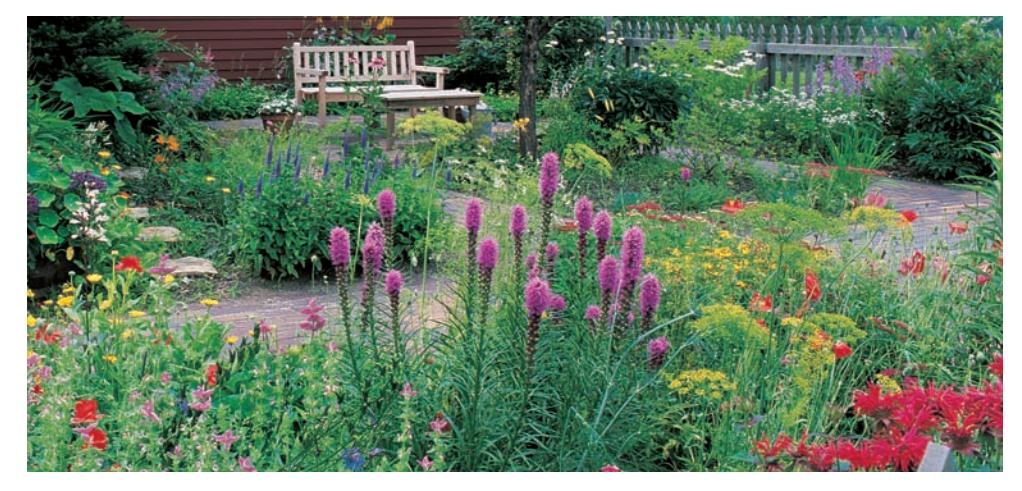 Decorative garden image