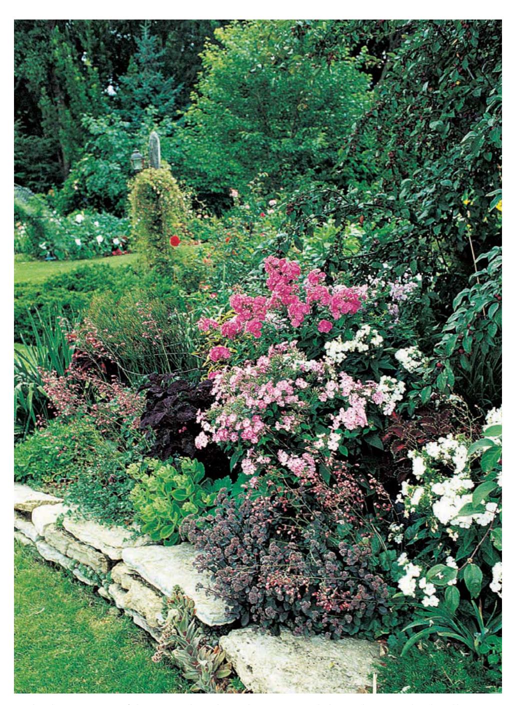 A well-designed garden path with various plants