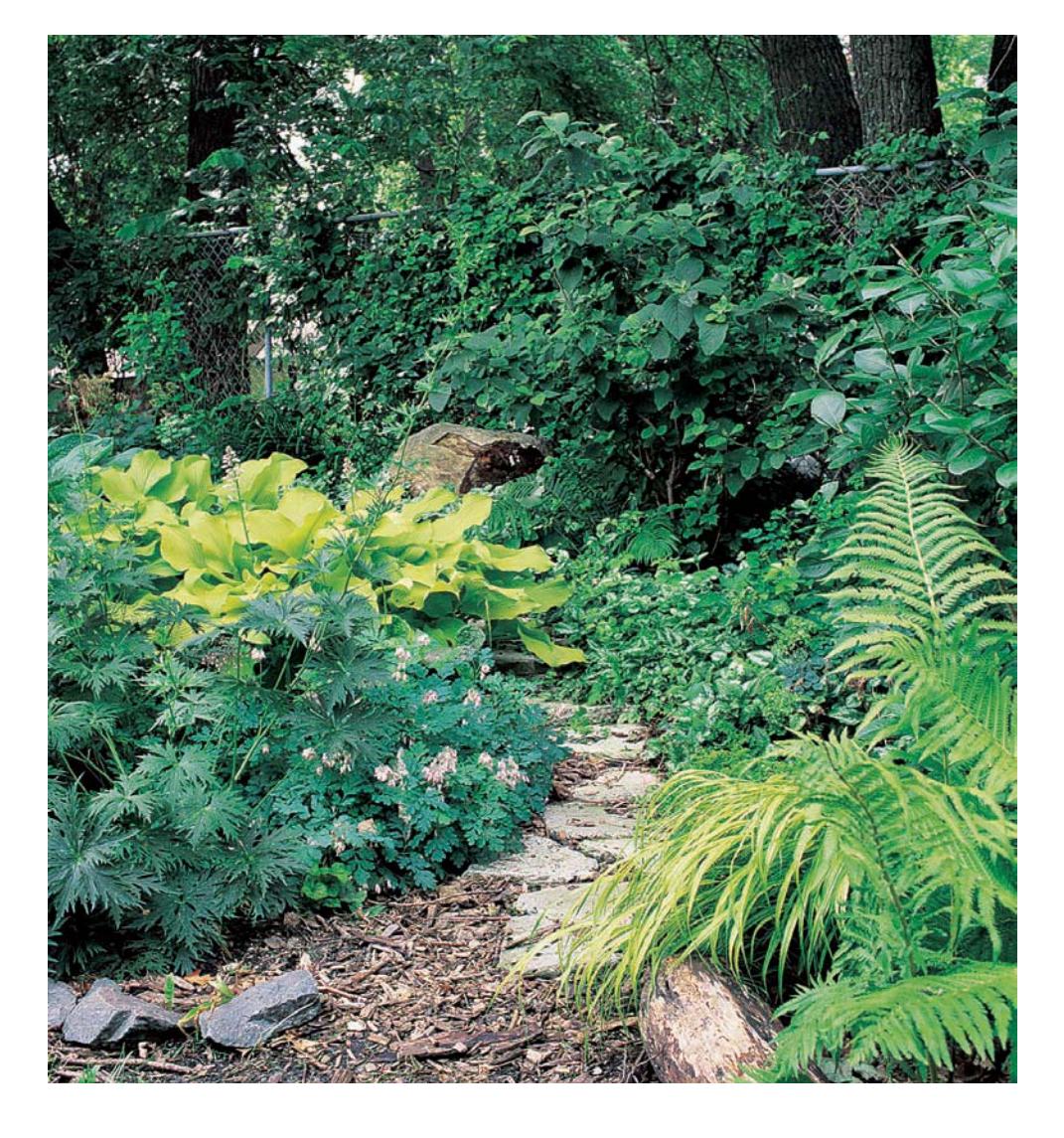 Established garden with various plants and a stone path.