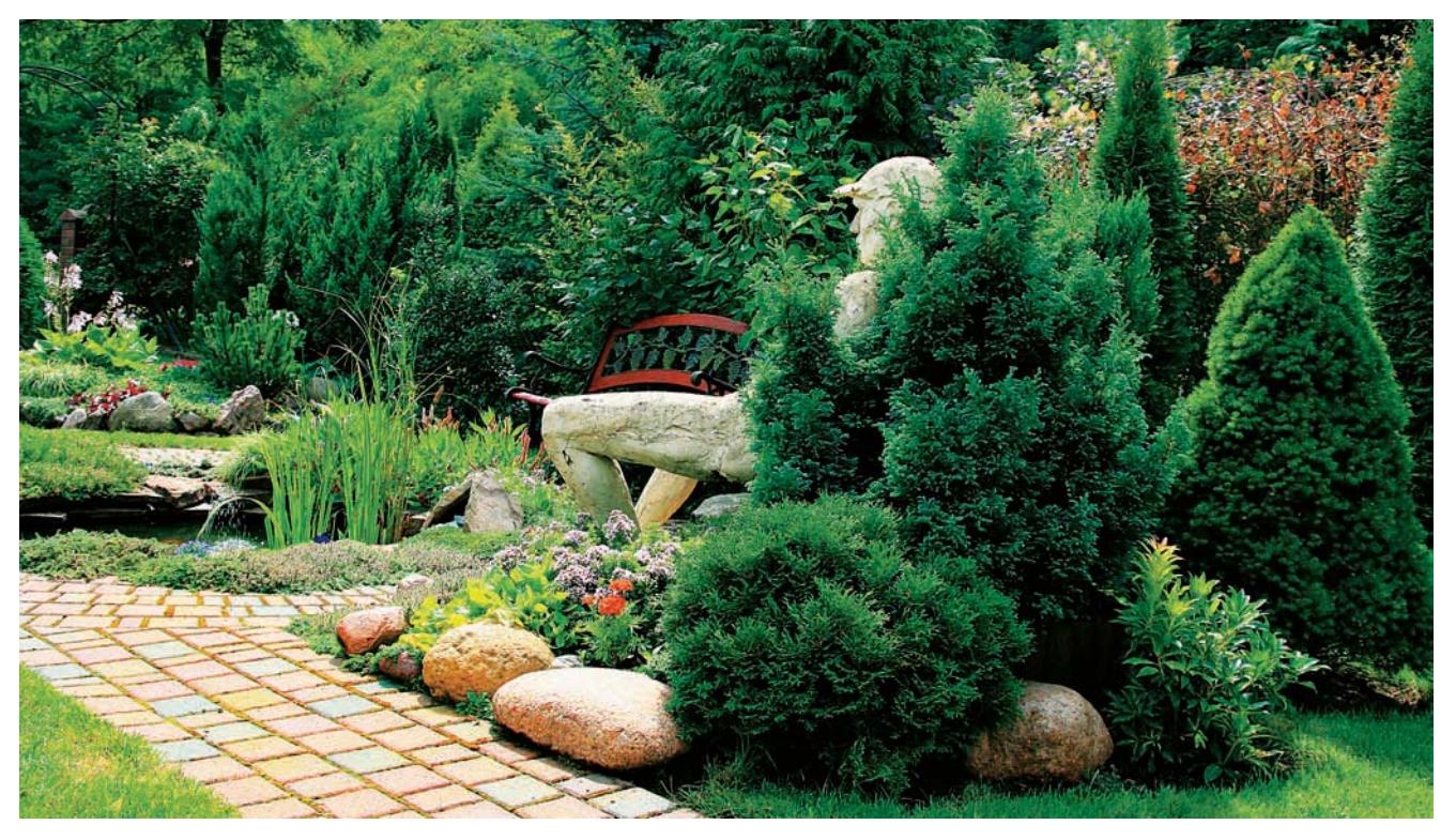 Garden hardscape with a path, bench, and decorative elements.