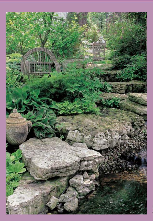 Garden hardscape elements including decking, fencing, and planter walls.