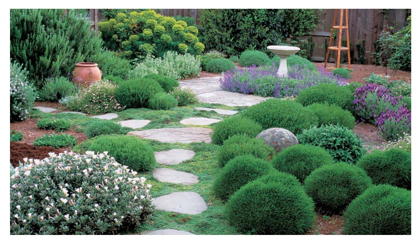Professionally installed garden hardscape with a stone wall and pond.