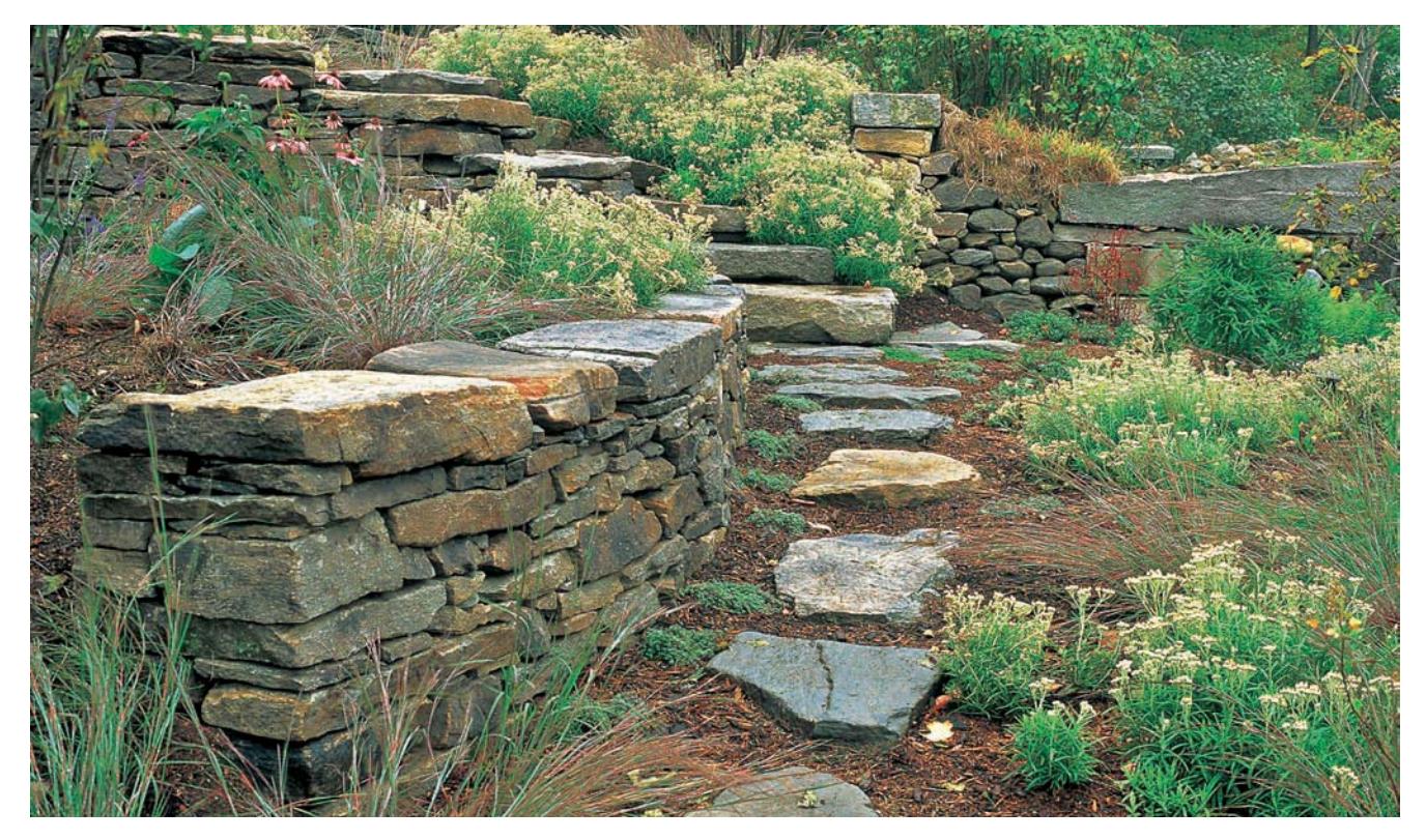 Stepping stones interplanted with creeping thyme.