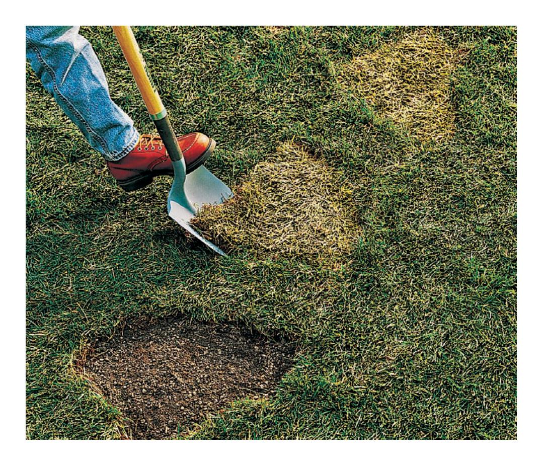 Digging around a stepping stone outline.