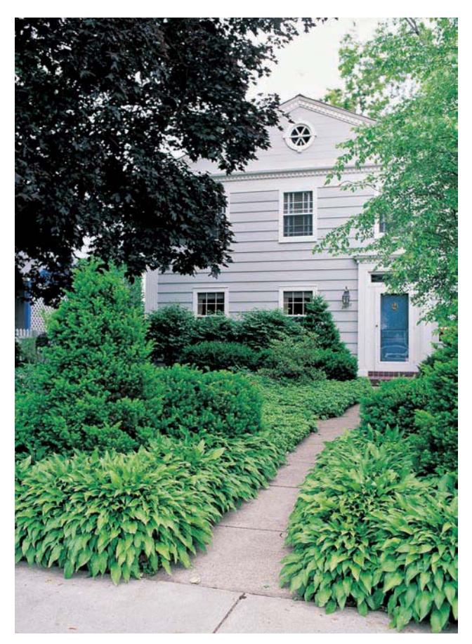 Front yard planted with groundcovers, shrubs, and perennials instead of lawn.