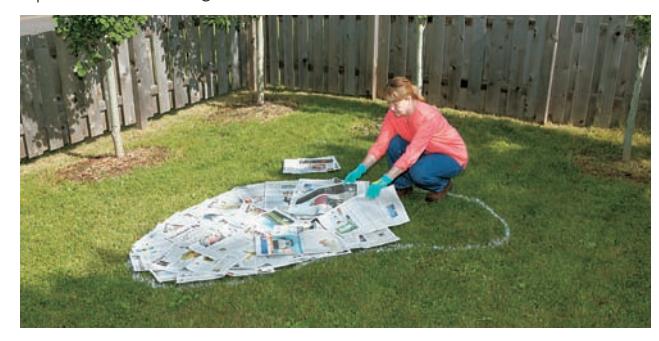 Garden bed covered with cardboard or tarp for smothering vegetation