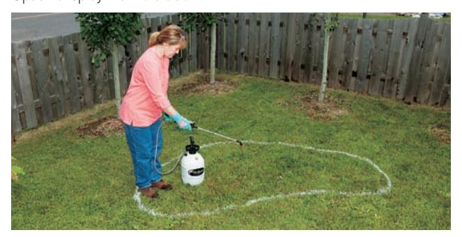 Person spraying herbicide on a garden bed