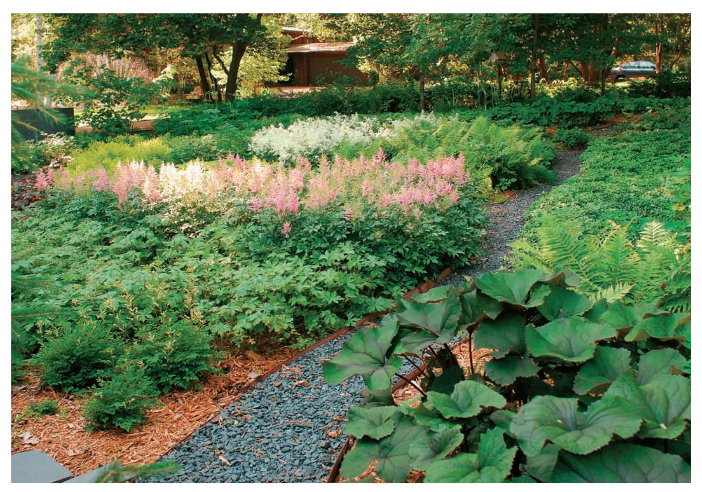 Diagram illustrating different levels of sun and shade in a garden