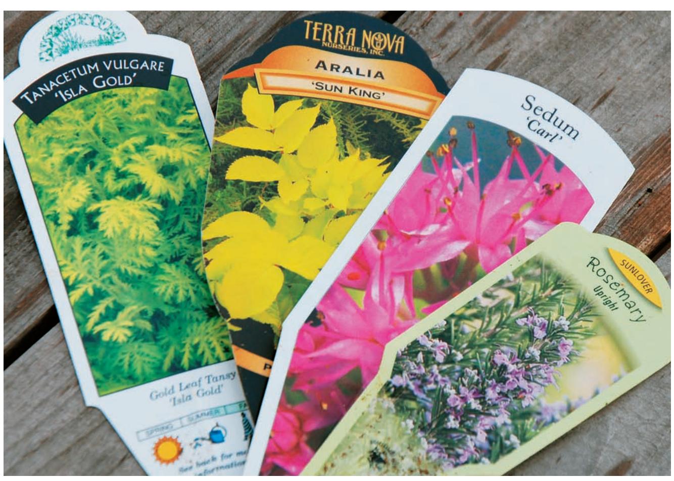 Close-up of a plant tag with plant information