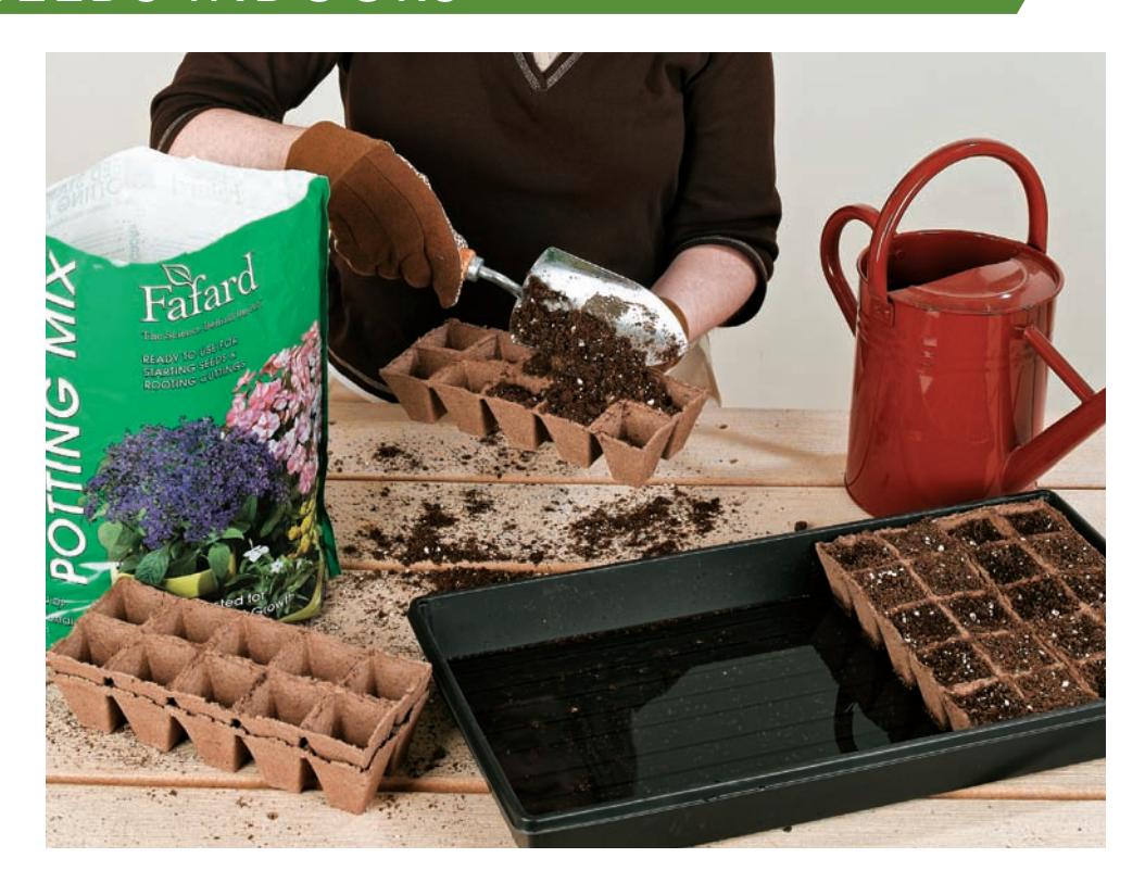 Filling seed-starting containers with soilless mix