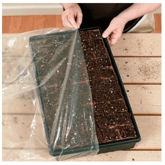 Seed-starting tray covered with a clear dome or plastic bag to maintain humidity