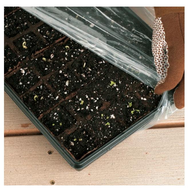 Seed-starting tray covered with a clear dome or plastic bag placed on top of a refrigerator