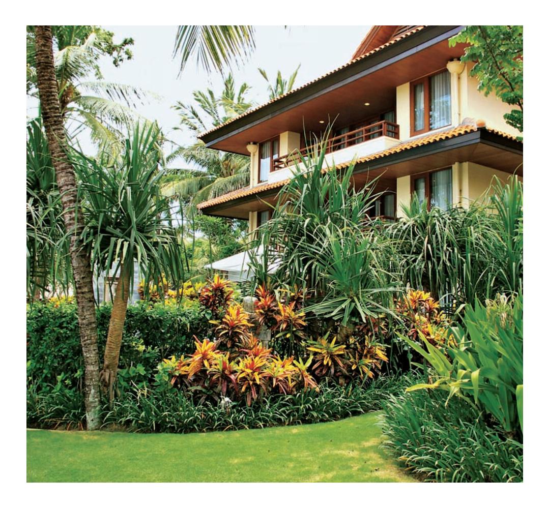 A lush garden featuring tropical plants thriving in mild winter temperatures.