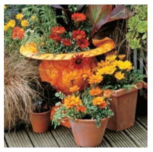 Decorative image for Contents