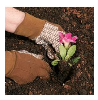 Decorative image for Contents