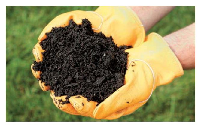 Healthy garden soil