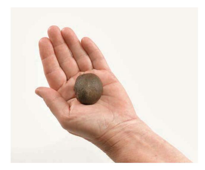 A hand rolling a damp soil sample into a ball