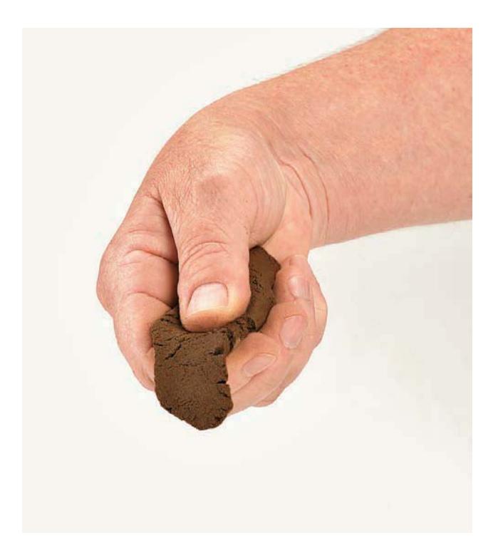 A soil ribbon forming, longer than one inch, indicating silty soil