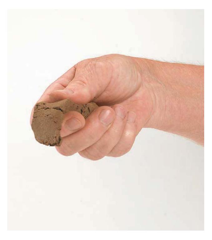 A soil ribbon forming, 1-2 inches long, indicating clay soil