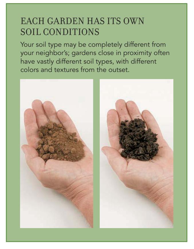 Final example of a soil ribbon from the ribbon test
