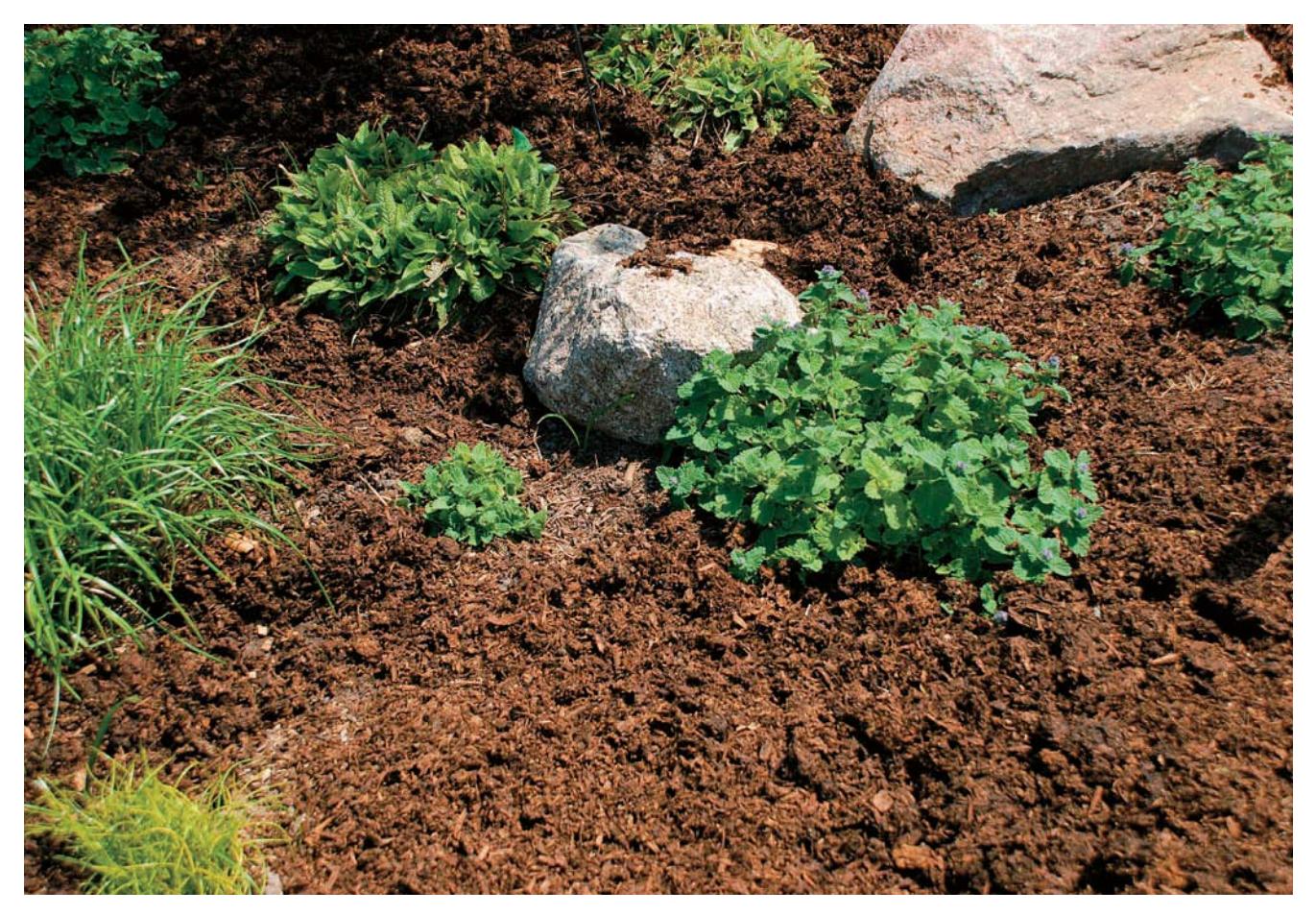 A garden bed with a layer of organic matter spread on top
