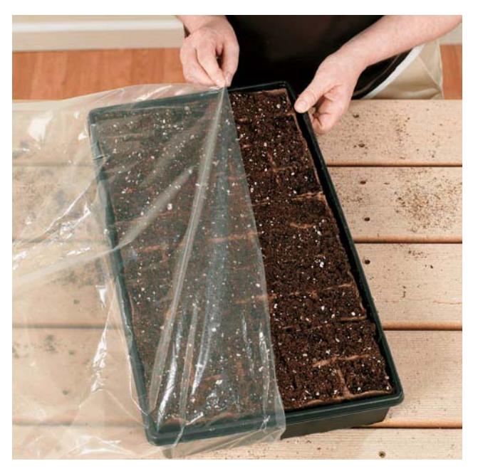 A hand placing a sealed plastic bag containing a plant container into a larger container.