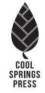 Decorative element or logo